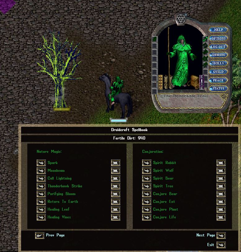 The Druidcraft spellbook — nature magic and spirit conjuration, a custom spell school on the Solgrad Ultima Online server